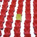 뉴서울파크 이미지