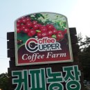 강릉커피박물관 이미지