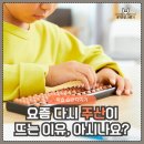 주산셈수학 | AI 시대 산만한 아이에게 주산이 정답인 이유 (feat 학습 전문가 추천)