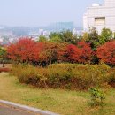 정발산공원 산책로 입구 이미지