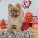 나보다 예쁘개 이미지