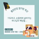 [예레미야 42:15~22] 기도하고, 순종하며 살아가는 하나님의 백성들… 이미지