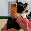 운남동물병원 이미지