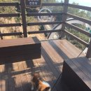 초원의집 민박 이미지