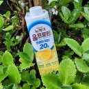 ㈜동인 | 뉴케어 올프로틴 프로틴워터 20g 단백질과 수분 그리고 당제로의 과일맛 음료