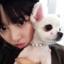소나무하우스 이미지