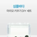 마리모 이미지