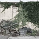 온금근린공원 이미지