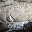 남산1천 이미지