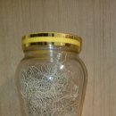 송라마을 이미지