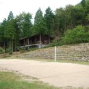 남해편백자연휴양림(남해) 이미지