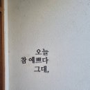 역재3길 | [내돈내산][남원 미용실] 텔리뷰티_베이비펌 후기(방문 일자 25.07.29.(화))(민생쿠폰 사용 가능!)