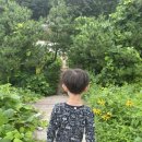 양양고인돌캠프 | (양양-캠핑장)조경과 경관이 예쁜 양양고인돌캠프
