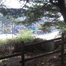 새천년2단지사거리 이미지