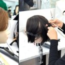 커트실무헤어전문학원 이미지