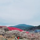 무곡경로당 이미지