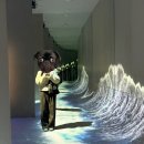 가춘천 | 춘천 실내 가볼만한 곳 국립춘천박물관 내돈내산 방문후기!