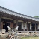 백야김좌진장군생가지 공중화장실 | 김좌진장군생가지 방문 후기(2026.06)