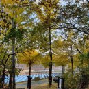 조강철책길 이미지