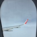 김해 | 비엣젯 부산 김해공항 푸꾸옥 왕복 후기 (기내식 메뉴판)