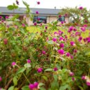 옹기문화의 집 이미지