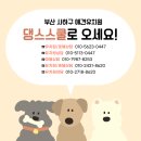 부산애견유치원 댕스하우스 | 사하구 애견유치원&amp;애견호텔 추천 [댕스스쿨&amp;댕스하우스]