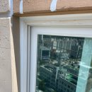 더펠리스 이미지