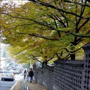 희망대공원길 이미지