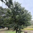 큰뜰농장 이미지