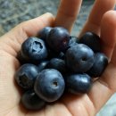 상기농장 이미지