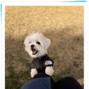 아이조아요양호텔 이미지