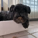 제주정 | 마토’ 날들 45