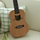 우쿨렐레(주말) 이미지