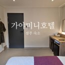 GAYA MINI HOTEL(가야미니호텔) | 경주 여행 숙소 내돈내산 황리단길 뚜벅이 | 가야미니호텔 스탠다드 킹