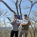 진달래산천 | 낙동정맥 3차 (석개재~답운치)