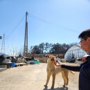 신안동물병원 이미지