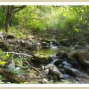 군산촌놈 이미지