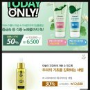 아리따움효목