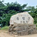 유명산 여름 힐링 산행 이미지