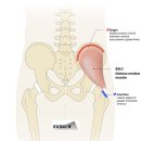 CM Fitness 이미지