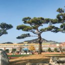 동문2리 이미지