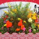 은혜병원 이미지