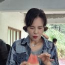 무식하면 용감하다 이미지