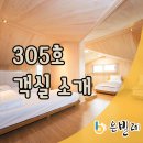 305펜션 네이버블로그
