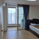 HausD블루오션 이미지