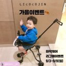 리코코진