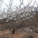 동화농원