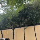 남경빌딩 | 중국 난징 남경 여행-장쑤성미술관 江蘇省美術館, 선봉서점 先锋书店, 즈펑따샤 紫峰大厦, naisnow...