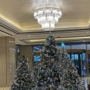 Prizm프리즘 | 부산 롯데호텔 호캉스 수영장 후기 with 프리즘(PRIZM) : Our 3rd christmas ①🎄
