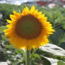 법원중앙외과의원 이미지